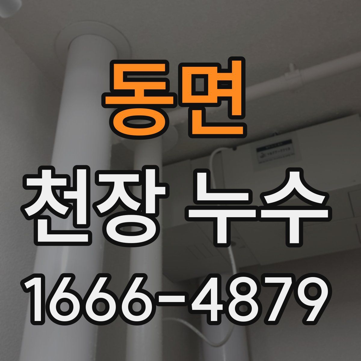 동면 천장 누수