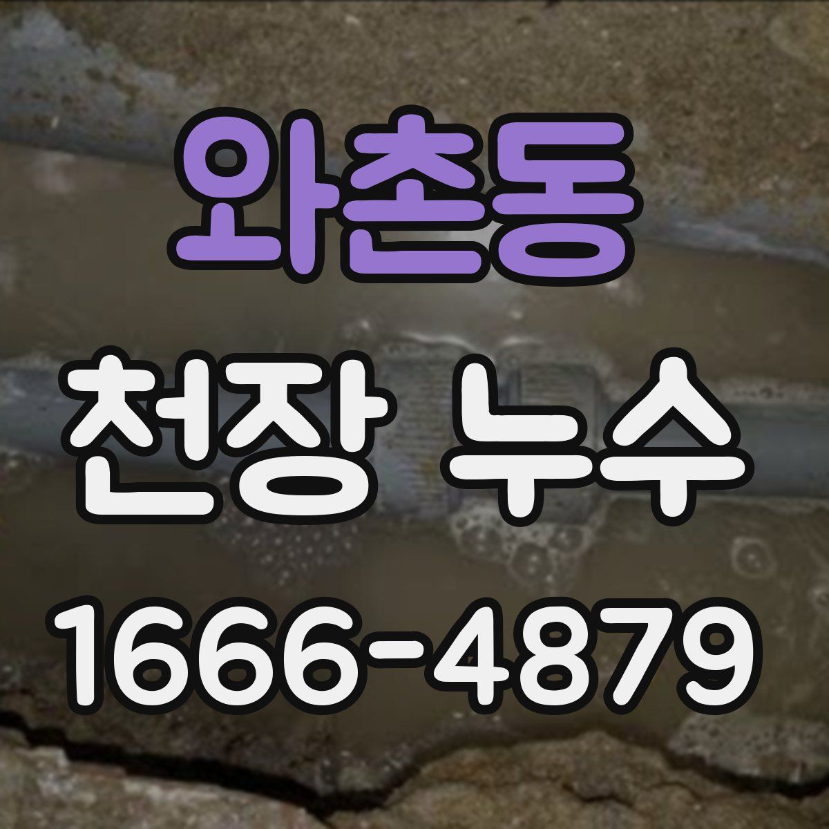 와촌동 천장 누수