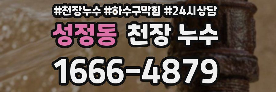 성정동 천장 누수