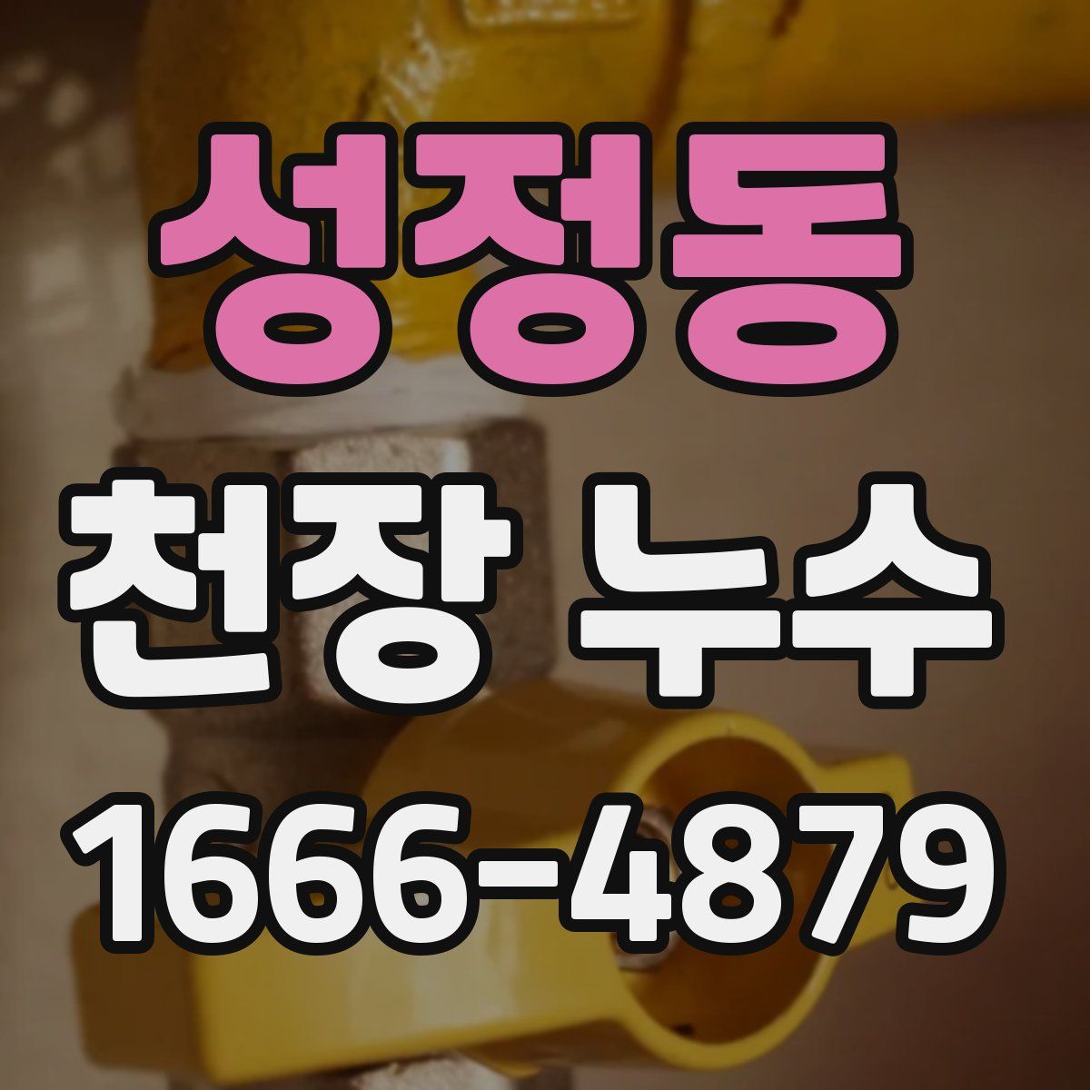 성정동 천장 누수