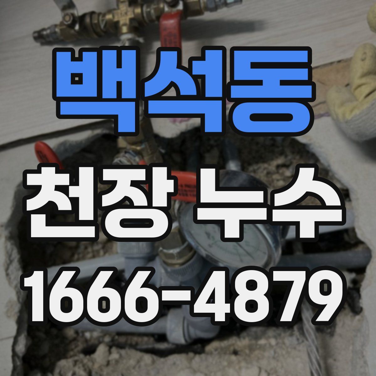 백석동 천장 누수