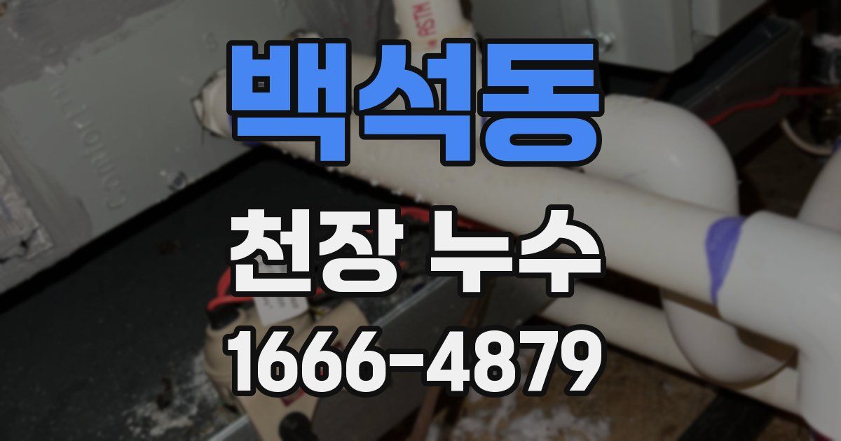 백석동 천장 누수