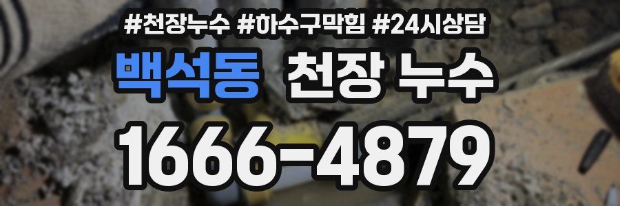 백석동 천장 누수