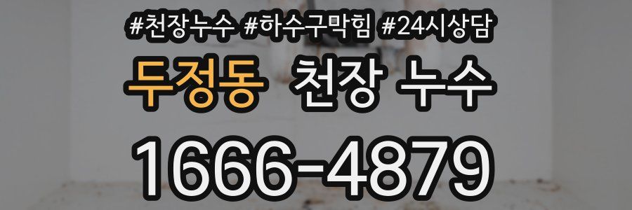 두정동 천장 누수