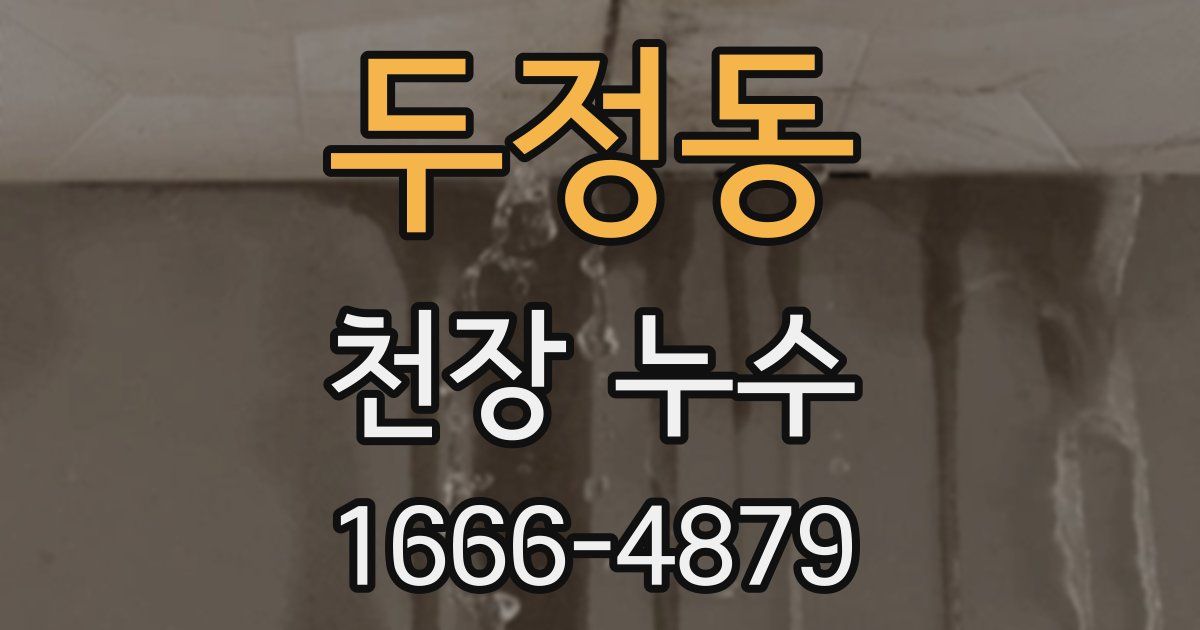 두정동 천장 누수