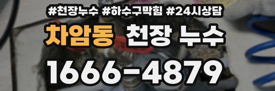 차암동 천장 누수