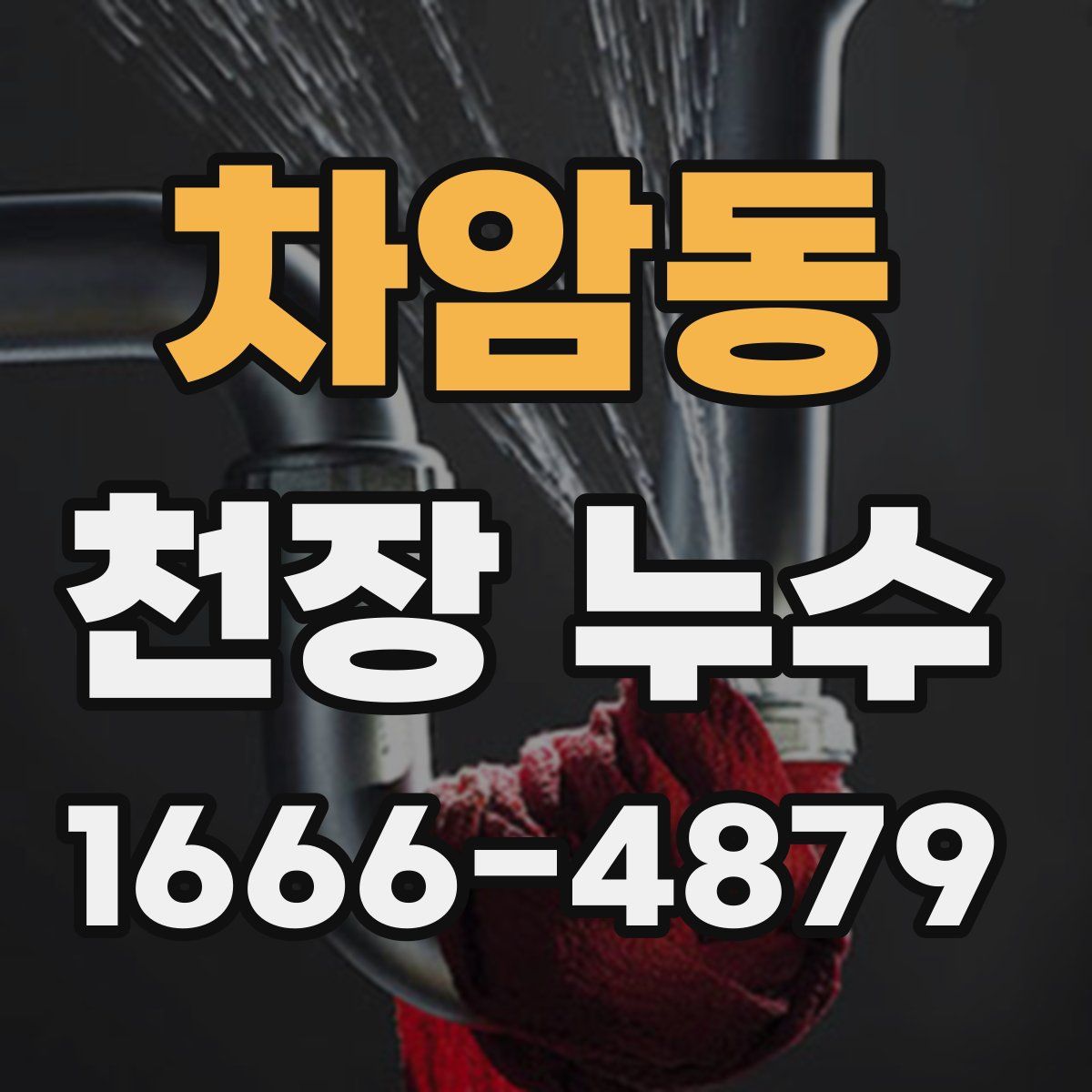 차암동 천장 누수