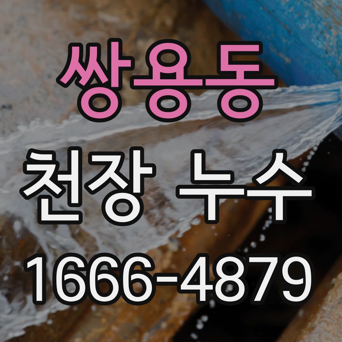 쌍용동 천장 누수