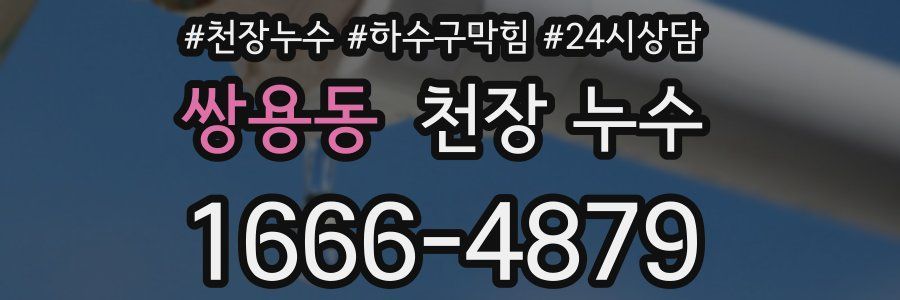 쌍용동 천장 누수