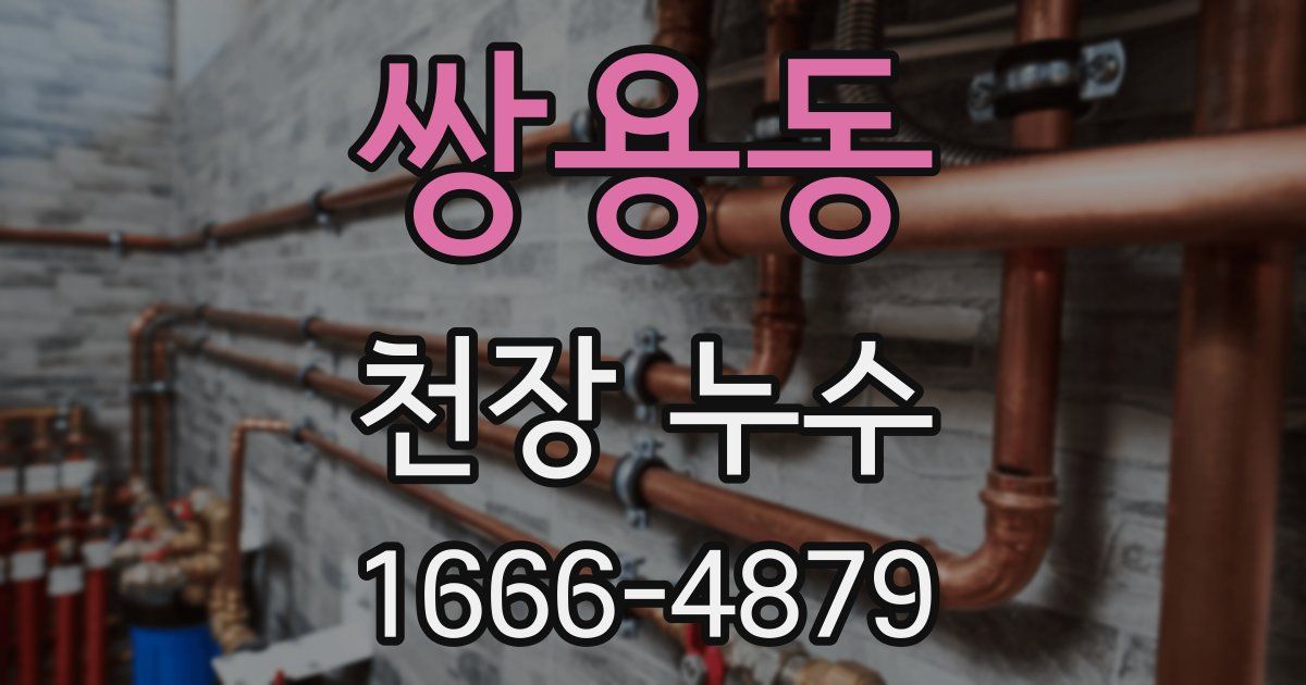 쌍용동 천장 누수