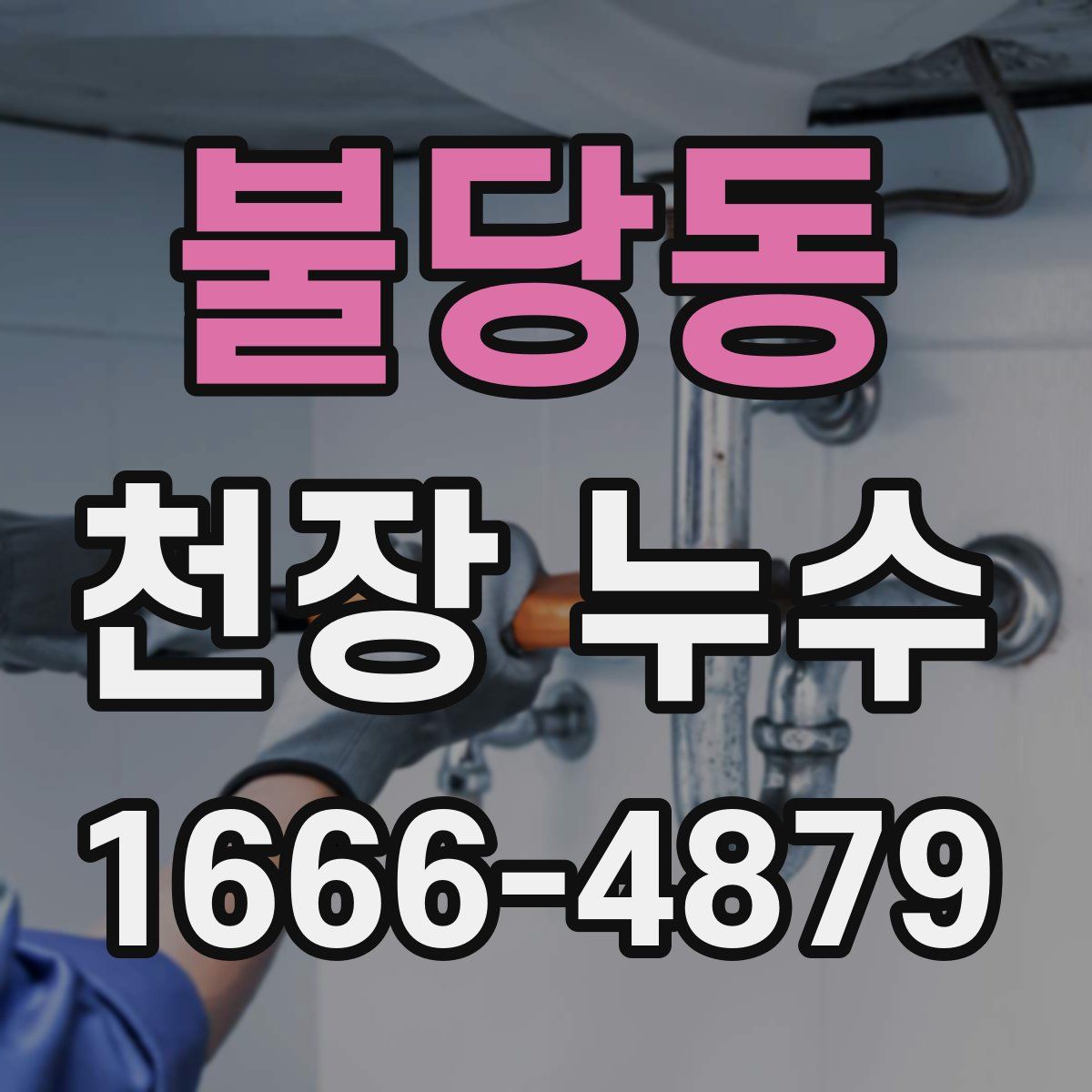 불당동 천장 누수