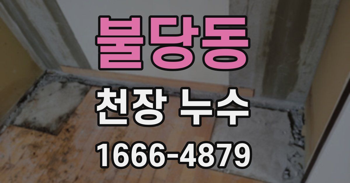 불당동 천장 누수