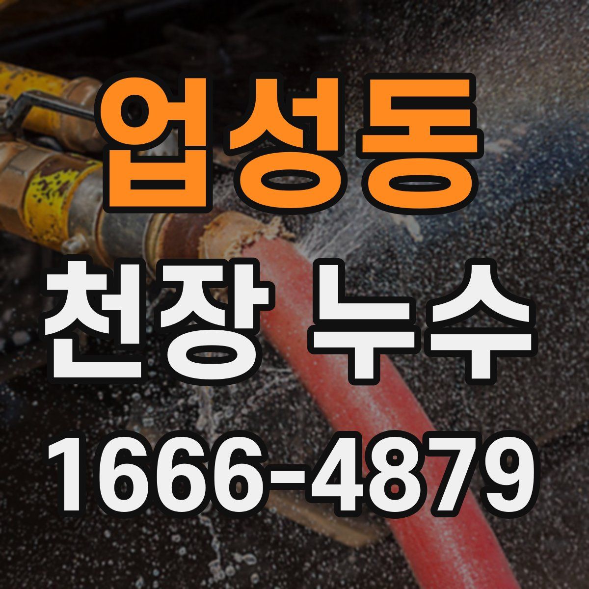 업성동 천장 누수