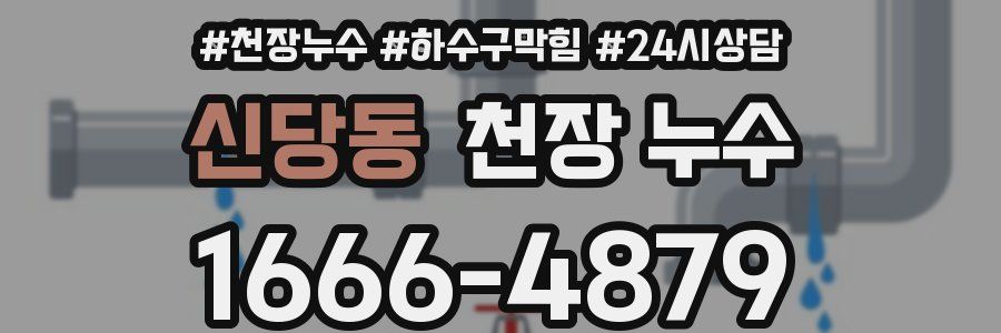 신당동 천장 누수