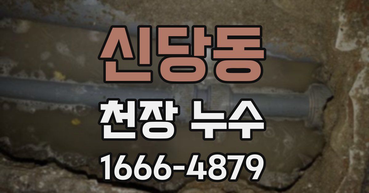 신당동 천장 누수