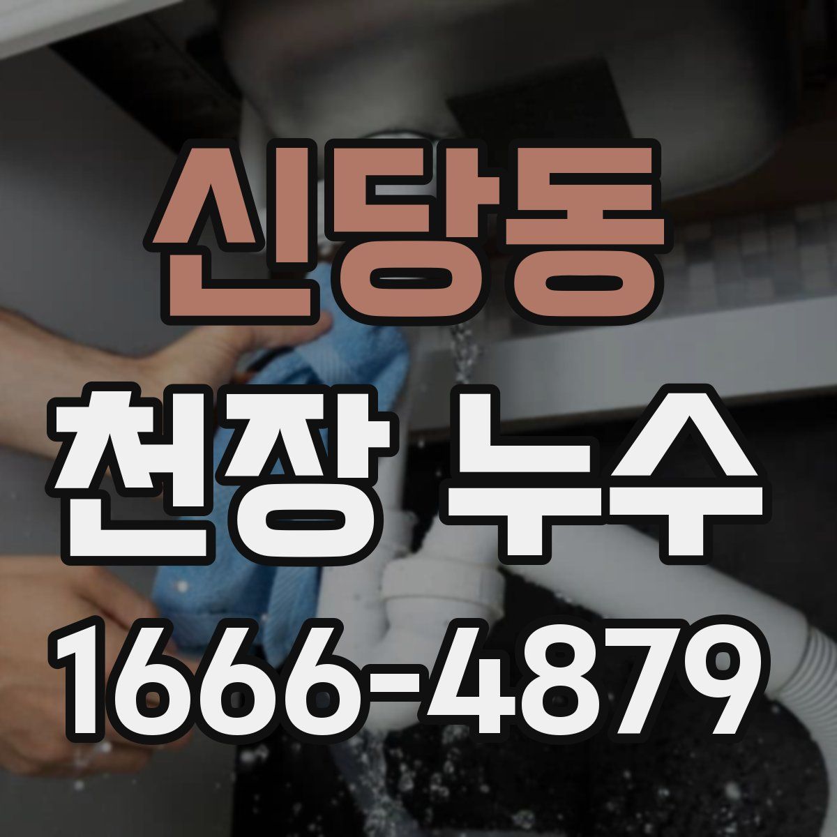 신당동 천장 누수