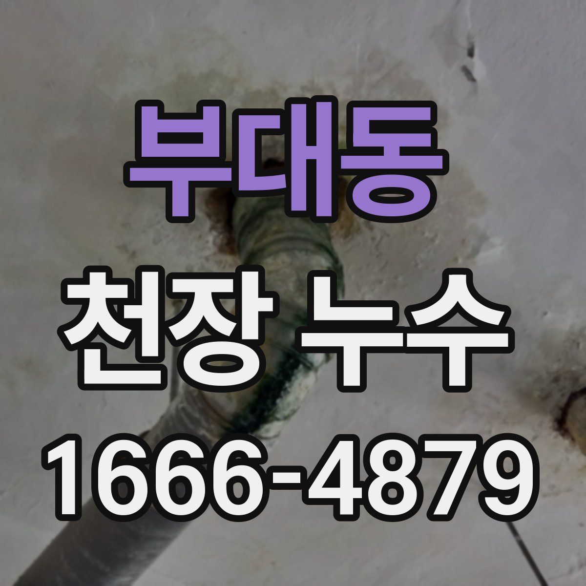 부대동 천장 누수