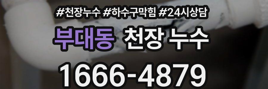 부대동 천장 누수