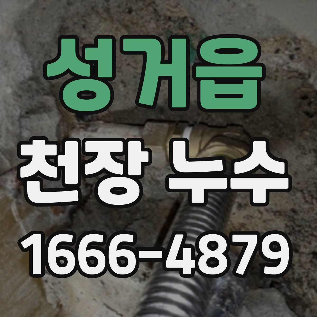 성거읍 천장 누수