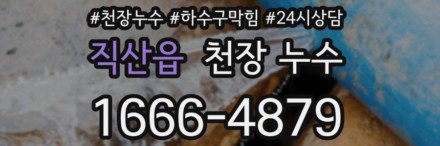 직산읍 천장 누수