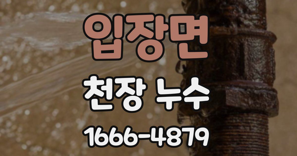 입장면 천장 누수