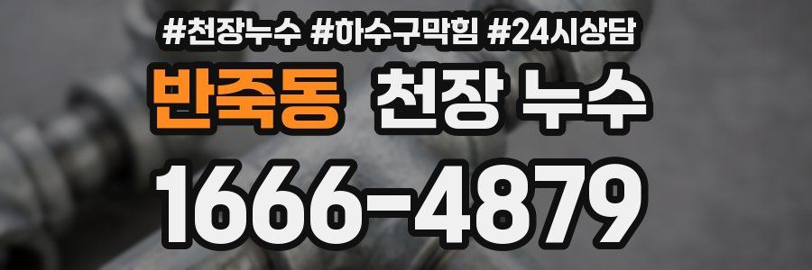 반죽동 천장 누수