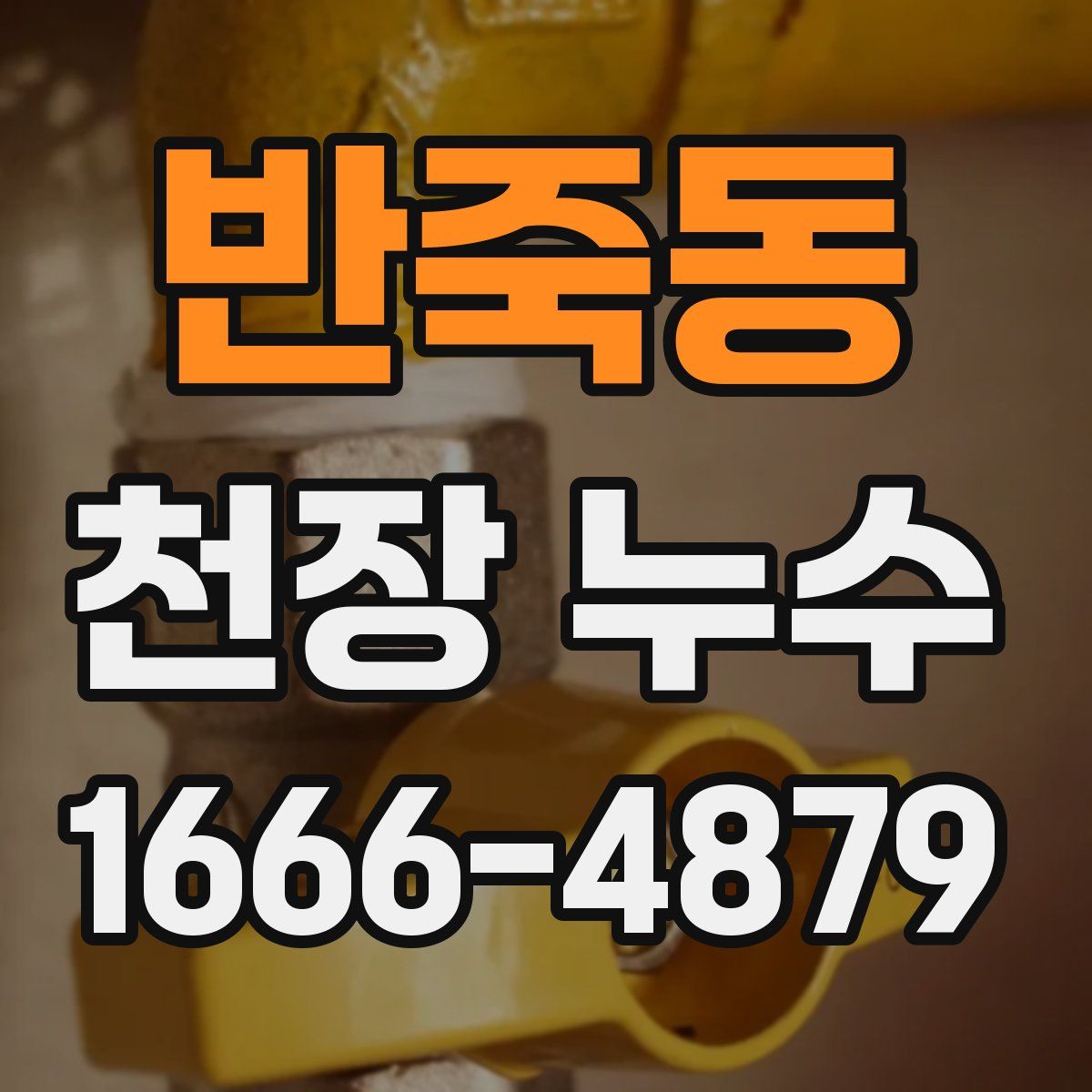 반죽동 천장 누수