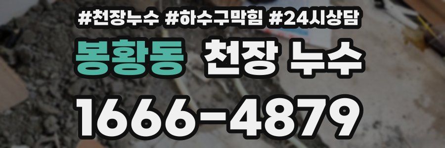 봉황동 천장 누수