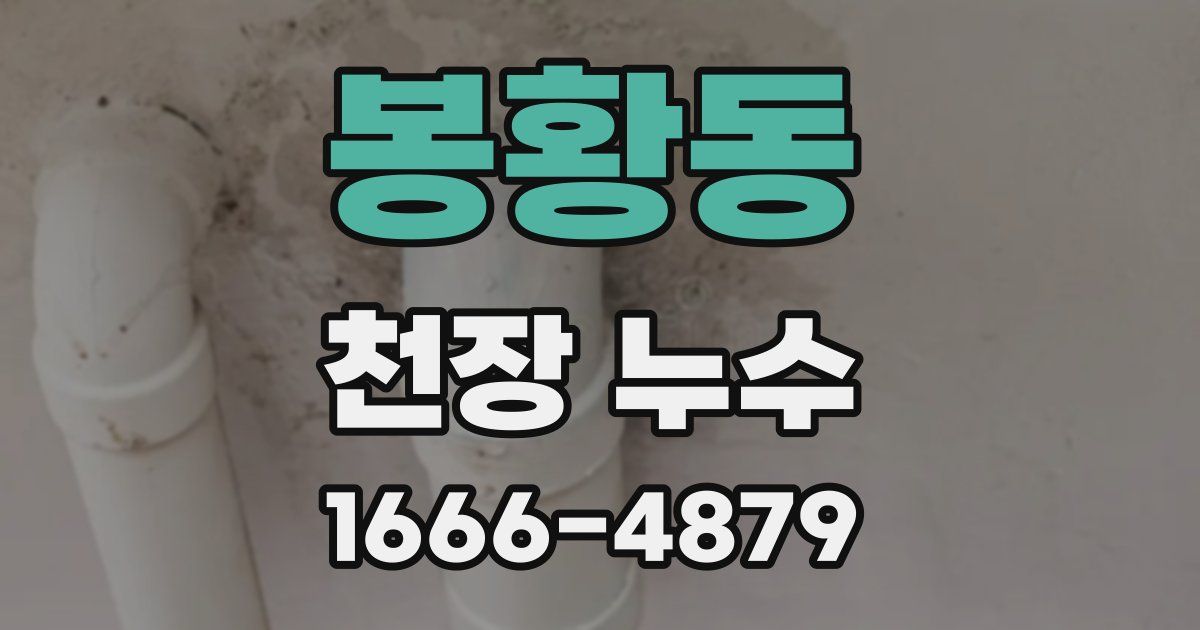 봉황동 천장 누수