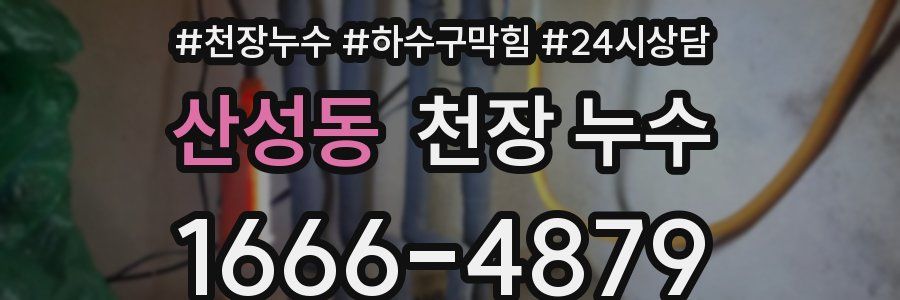 산성동 천장 누수