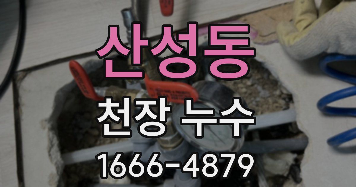 산성동 천장 누수