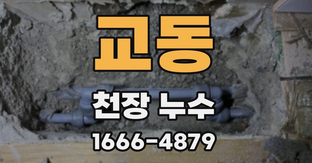 교동 천장 누수