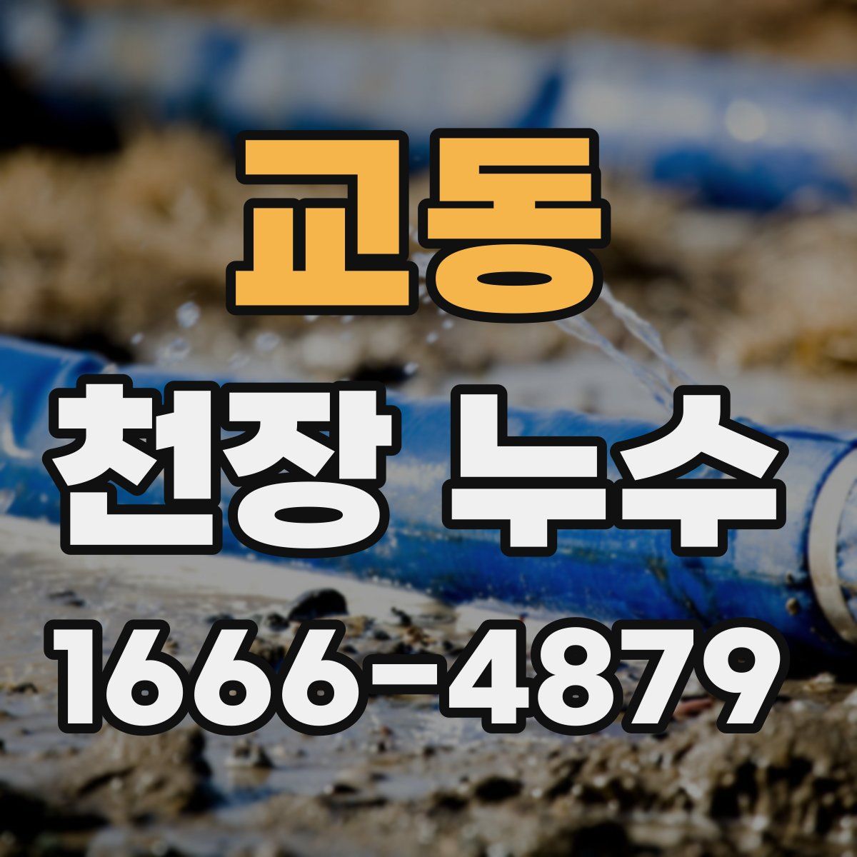 교동 천장 누수