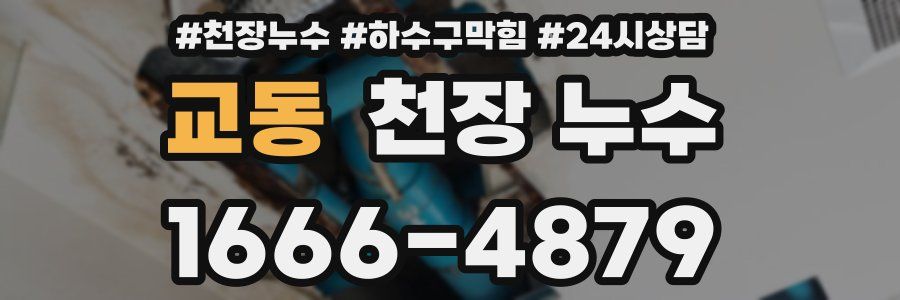 교동 천장 누수