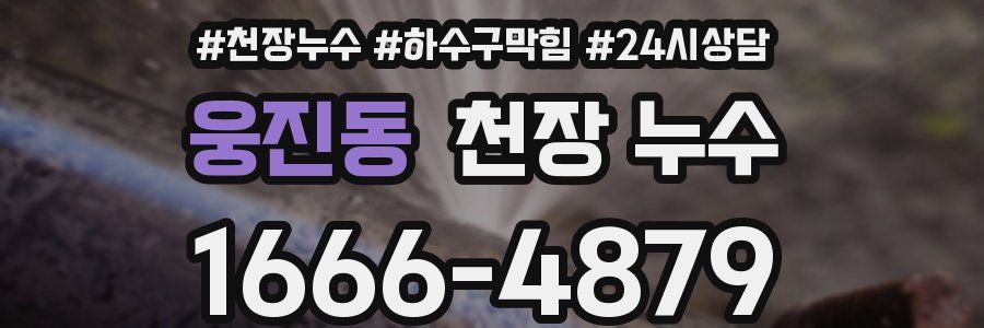 웅진동 천장 누수