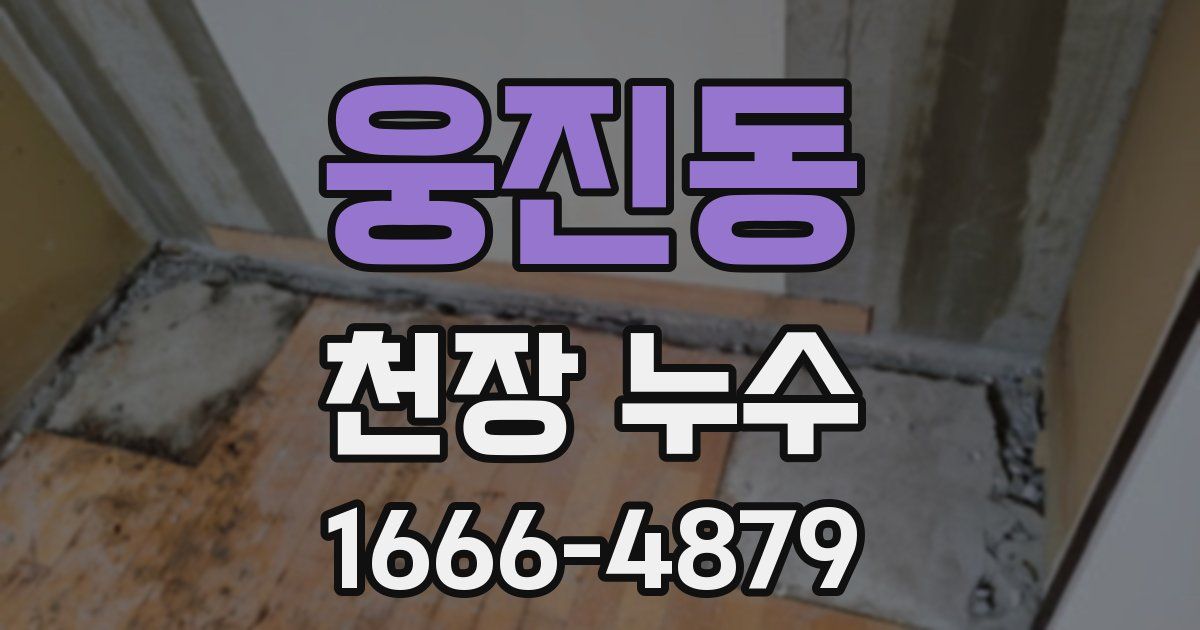 웅진동 천장 누수