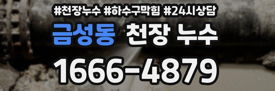 금성동 천장 누수