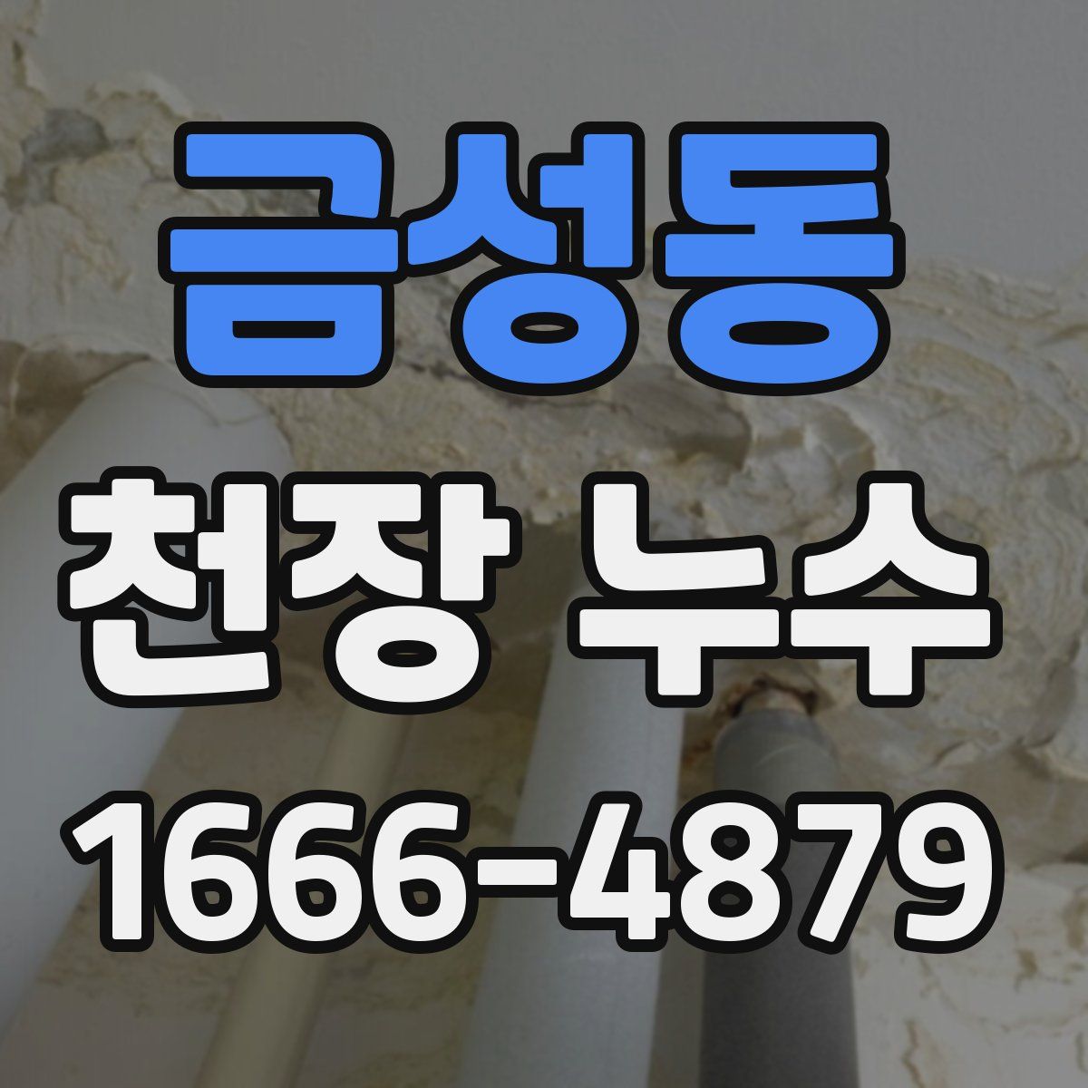 금성동 천장 누수