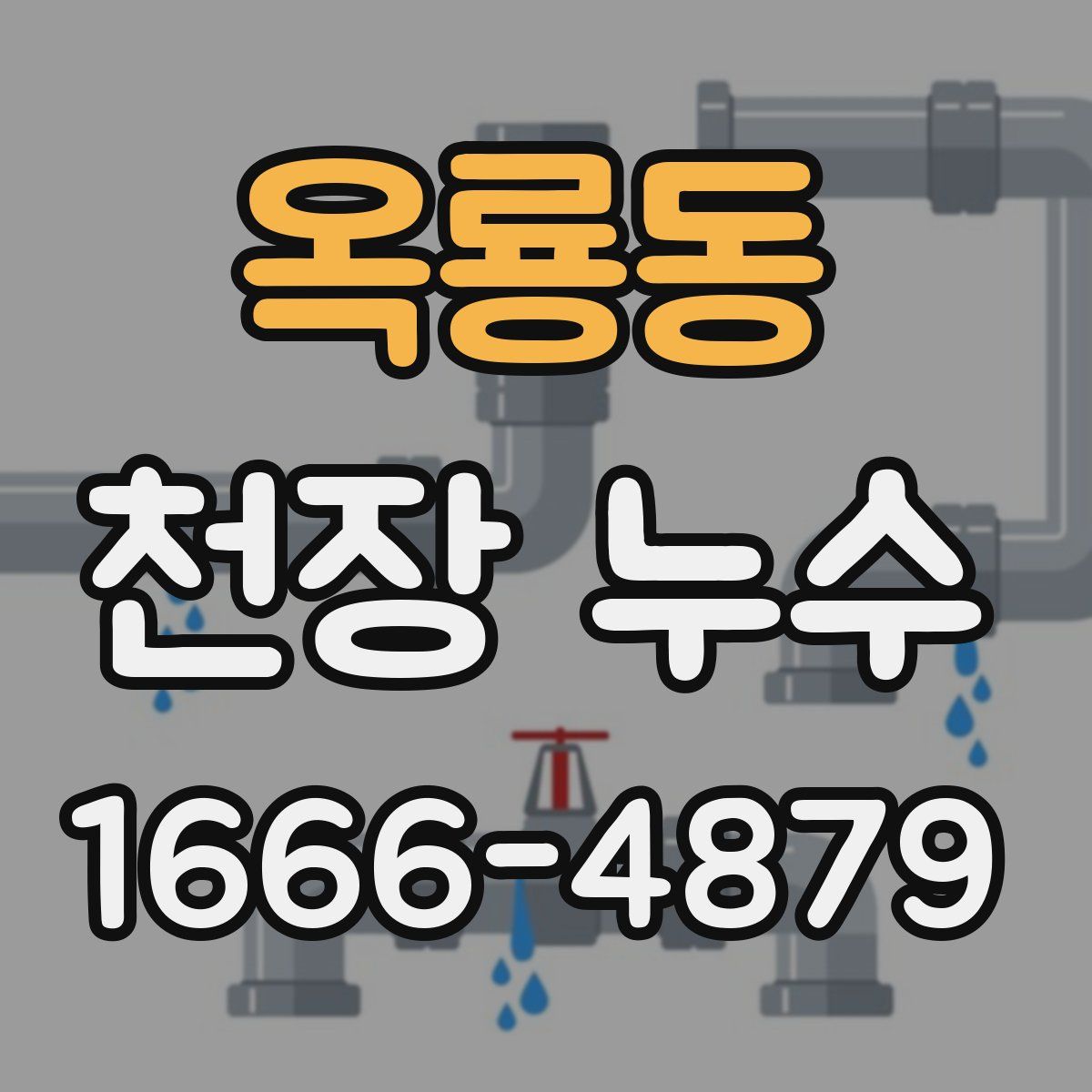 옥룡동 천장 누수