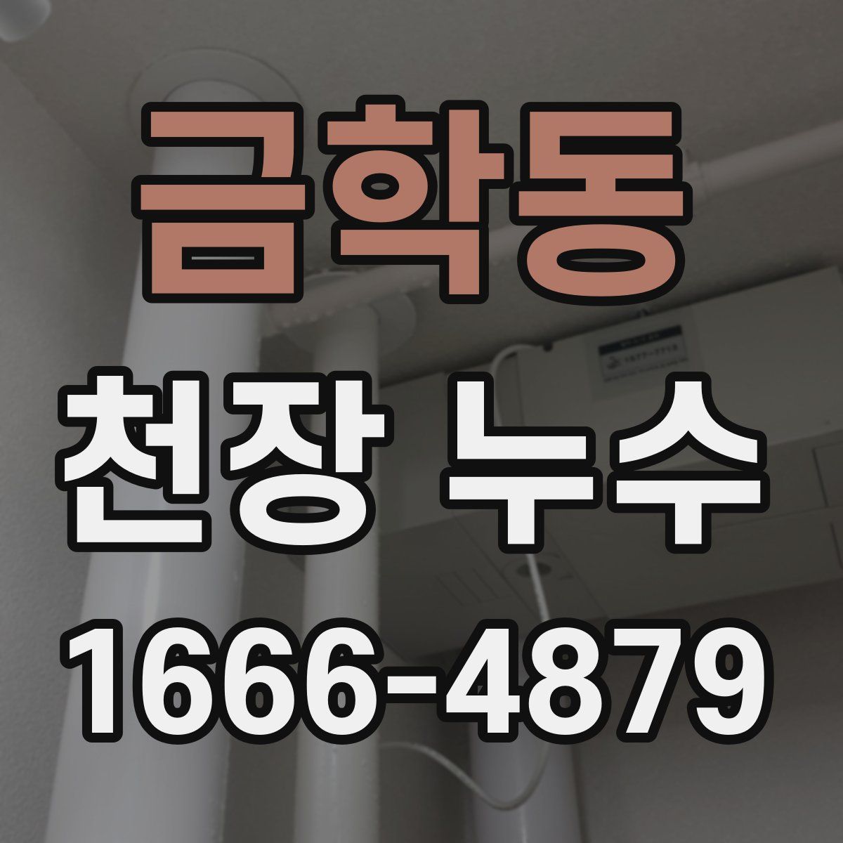 금학동 천장 누수