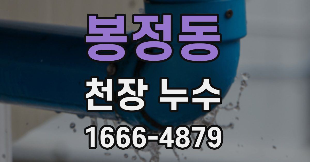 봉정동 천장 누수