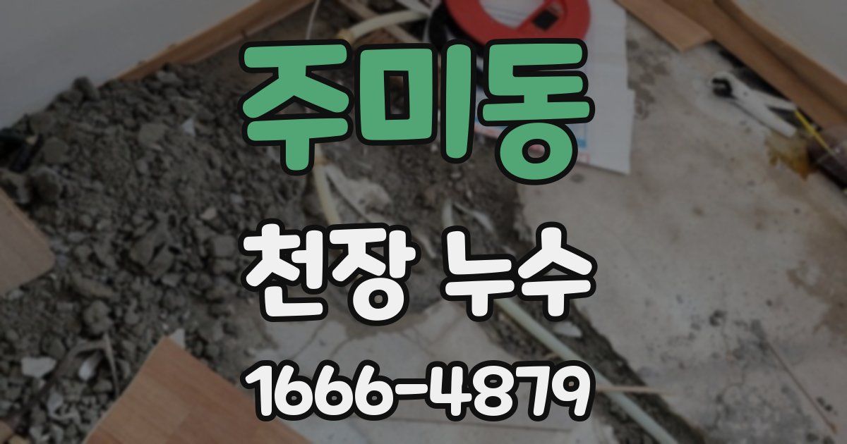 주미동 천장 누수