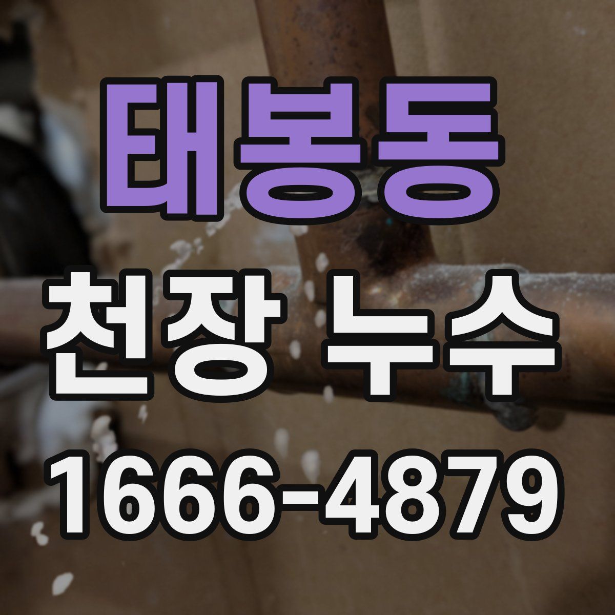 태봉동 천장 누수