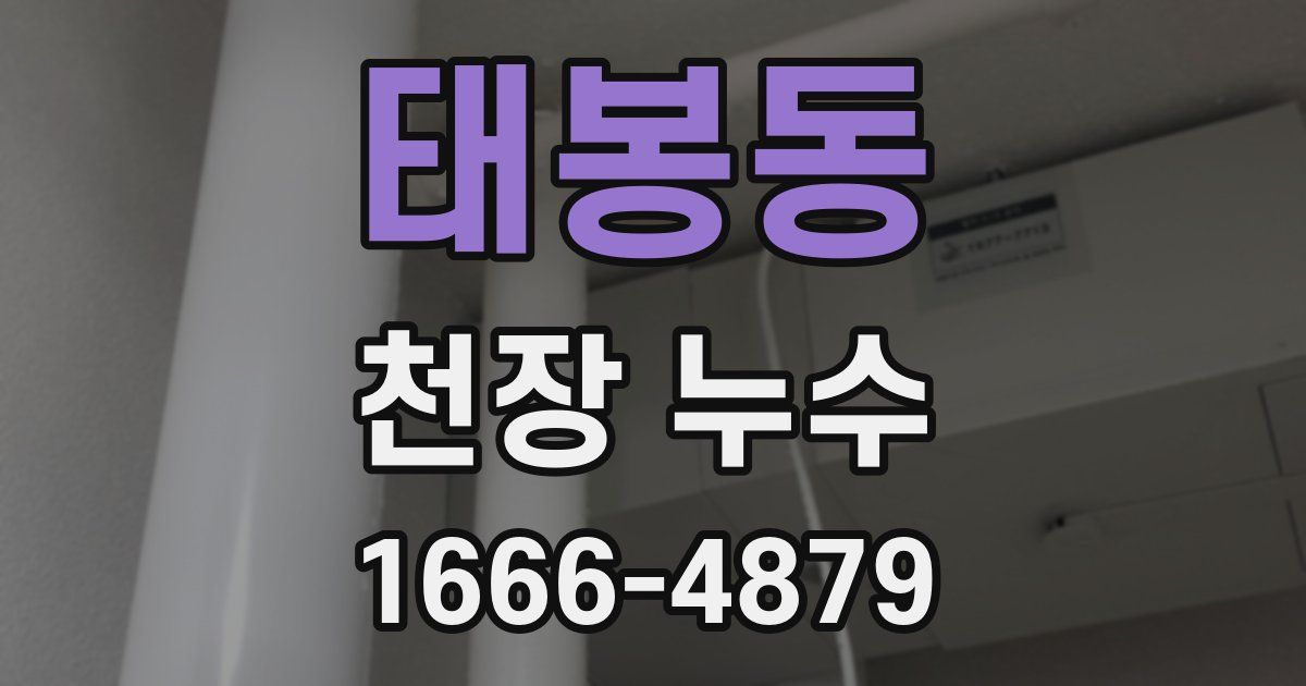 태봉동 천장 누수