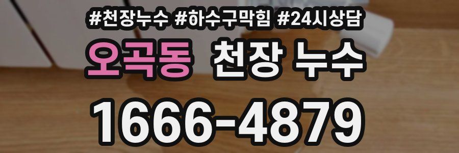 오곡동 천장 누수