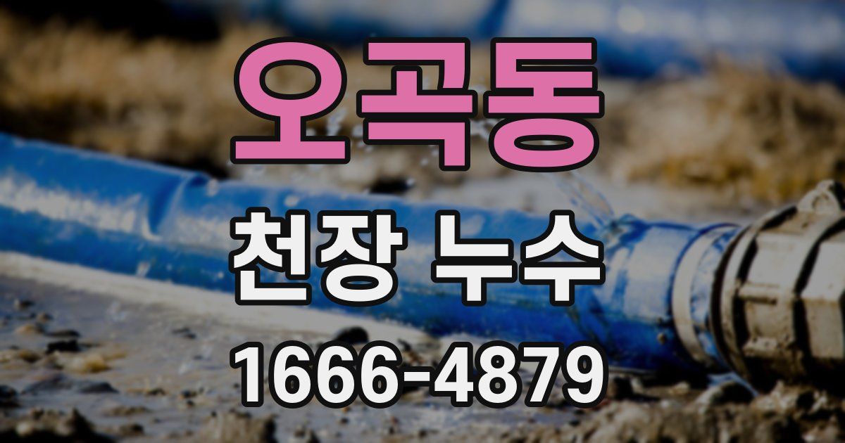 오곡동 천장 누수