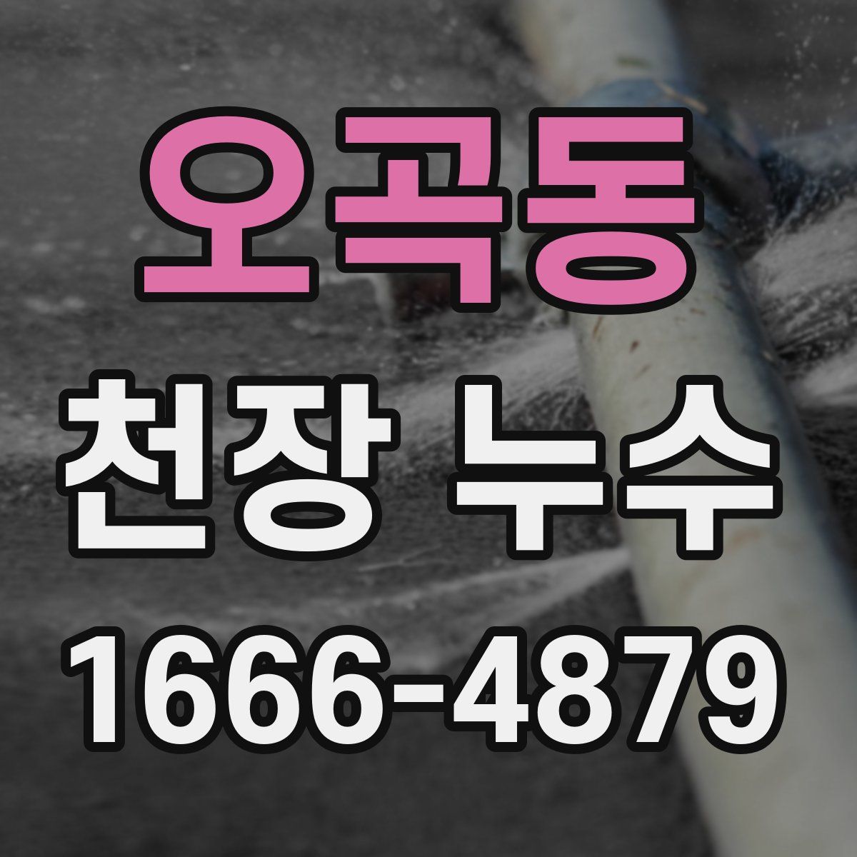 오곡동 천장 누수