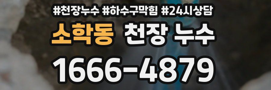 소학동 천장 누수