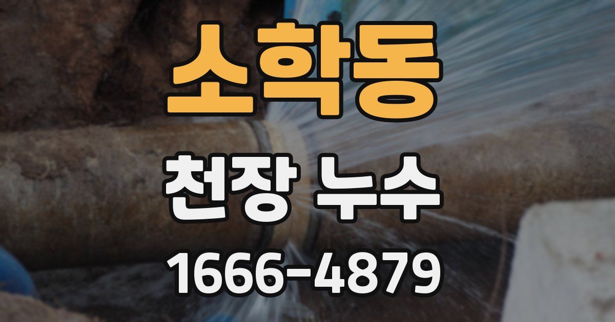 소학동 천장 누수