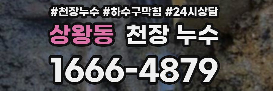 상왕동 천장 누수